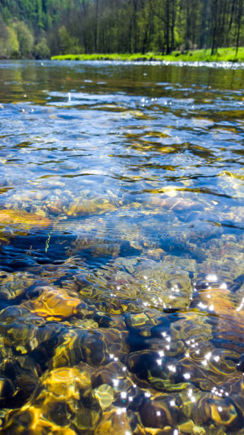 istock Pebbles in the river in spring with forest - abstract pattern in the waves 1143898643