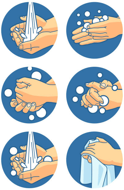 ilustraciones, imágenes clip art, dibujos animados e iconos de stock de instrucciones de lavado de manos - hand hygiene