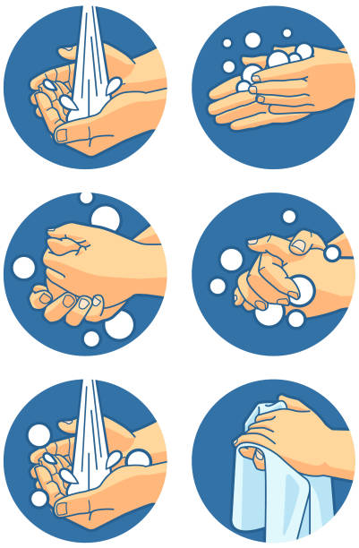 ilustrações de stock, clip art, desenhos animados e ícones de hand washing instructions - washing hands illustrations