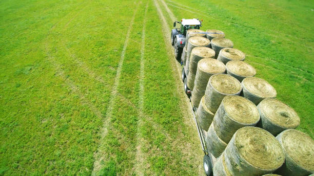 round bales transportation on tractor trailer