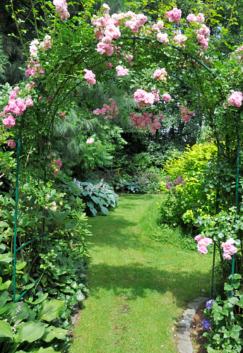 Garden with rose arch,path and hostas.
