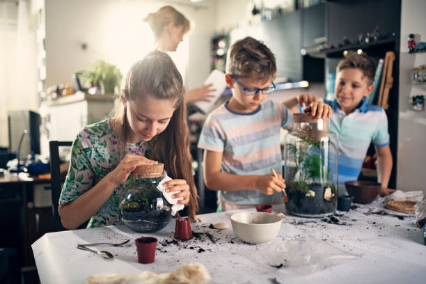 Family enjoying making plant bottle gardens Kids having fun creating bottle gardens at home. They are potting little plants inside bottles to create miniature living eco-systems and beautiful home decoration.
Nikon D850 terrarium stock pictures, royalty-free photos & images