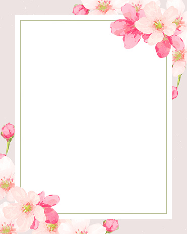 7, Varias flores de vectores vector gratis | ¡Descargalo ahora! 7, Varias flores de vectores vector gratis | ¡Descargalo ahora!