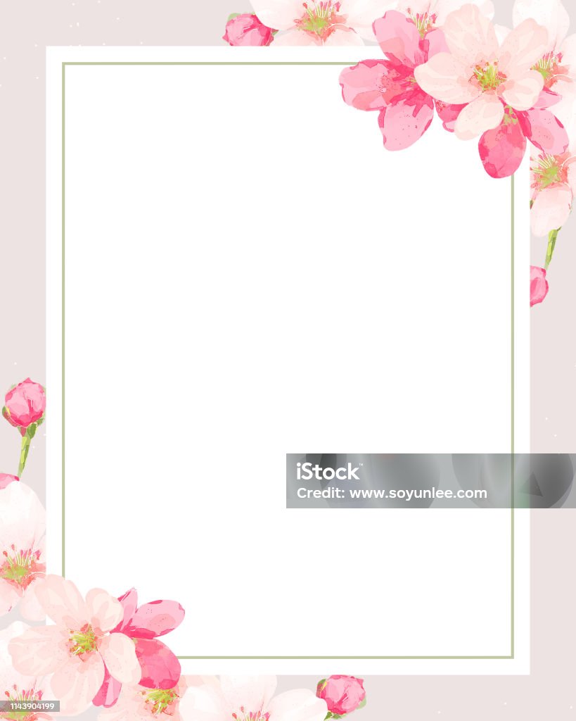 cherry-blossom-frame-vector-stock-illustration-download-image-now