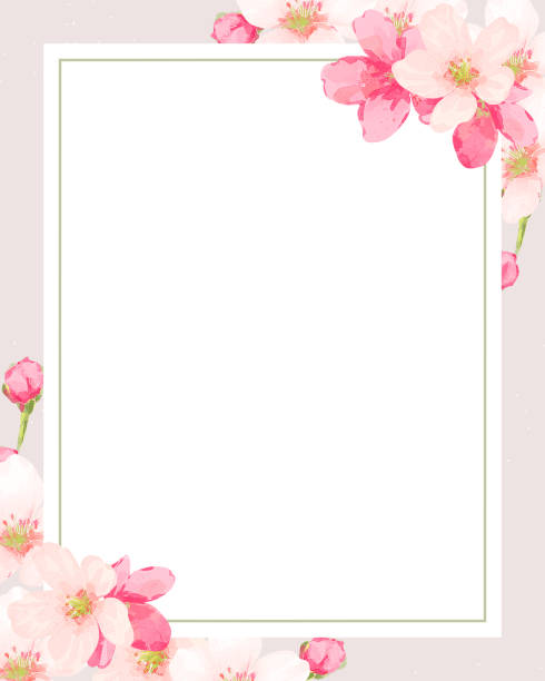 Cherry blossom frame vector cherry blossom/botanical frame/border/background/greeting card/invitation/vector illustration/spring/pink flower/plant flowerbed stock illustrations