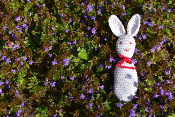 Easter rabbit on a floral background.
