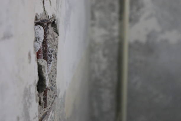 istock close up of pickled element on the wall 1143905192