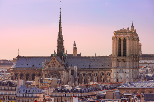 View of Paris with Cathedral of Notre Dame, France