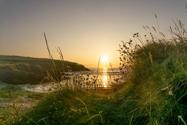 paysage marin sur le parc côtier du pembrokeshire - wales south wales coastline cliff photos et images de collection