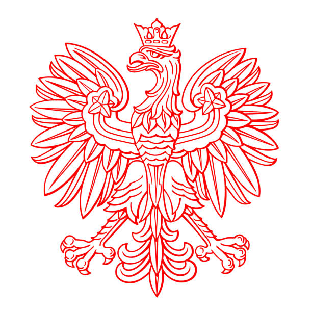 ilustraciones, imágenes clip art, dibujos animados e iconos de stock de águila polaca sobre fondo blanco - polonia