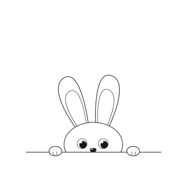 572 Curious Rabbit Illustrations & Clip Art - iStock