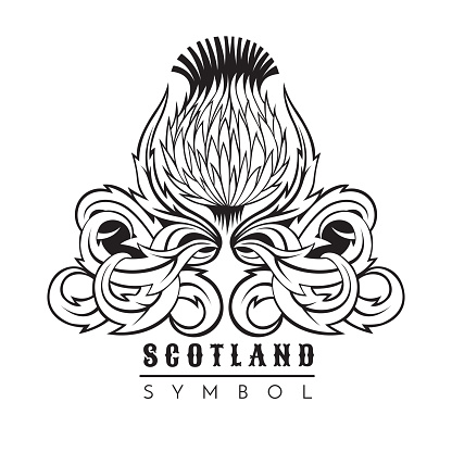Thistle with leaf pattern. Symbol of Scotland design element black on white