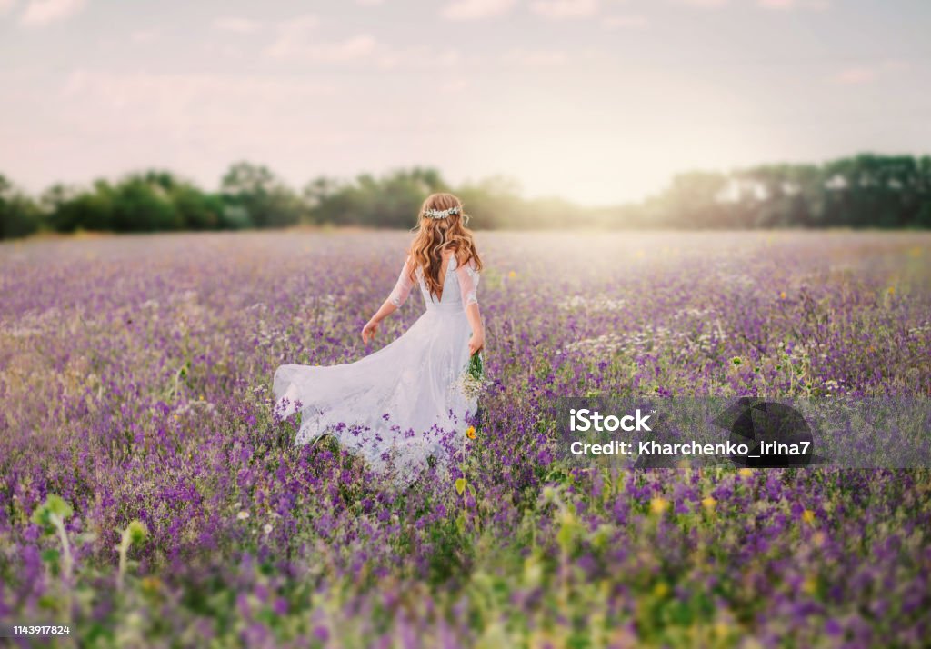 Young Lady Dressed In An Elegant Long White Dress With Transparent Sleeves And With A Neat Hairstyle Of Blond Hair Decorated With A White Wreath Walks Across The Field Of Purple Flowers Young Lady Dressed In An Elegant Long White Dress With Transparent Sleeves And With A Neat Hairstyle Of Blond Hair Decorated With A White Wreath Walks Across The Field Of Purple Flowers