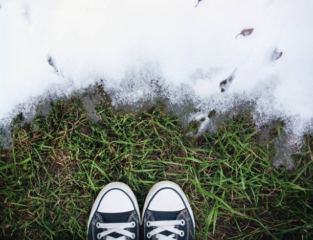 The beginning of spring. The boundary between the grass on the ground and white snow symbolizes the transition from winter to spring or from autumn to winter. Snow is melting. Sneakers on the grass. stock photo