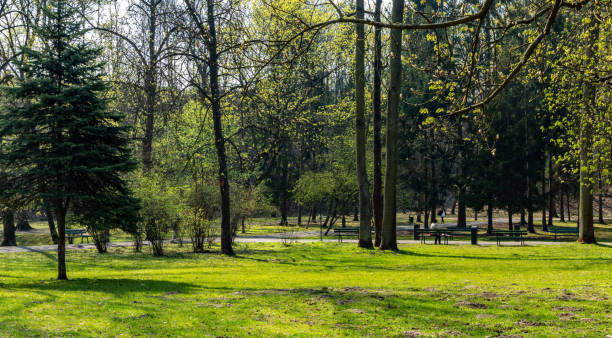istock Bednarski Park in Krakow 1143921077