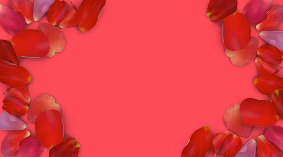 Color of the year 2019, living coral rose leafs object in front of living coral background.