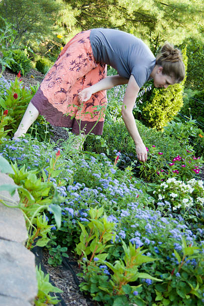 istock Young Woman Picking Flowers 114392907