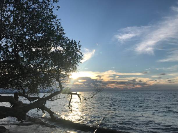 istock Sunset in Nabire Papua Indonesia 1143929153