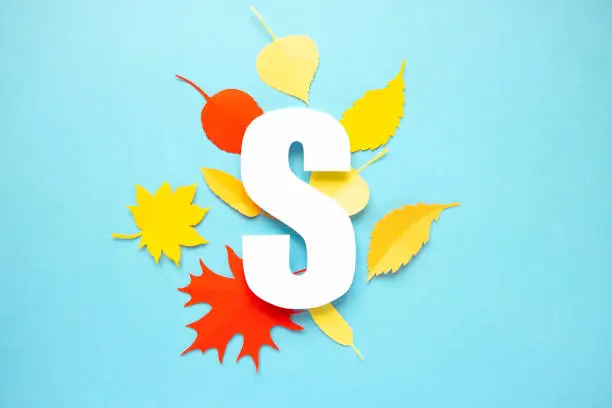Photo of letter s cut from paper with paper autumn leaves