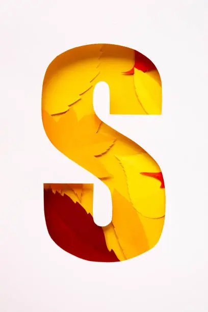 Photo of letter s cut from paper with paper autumn leaves