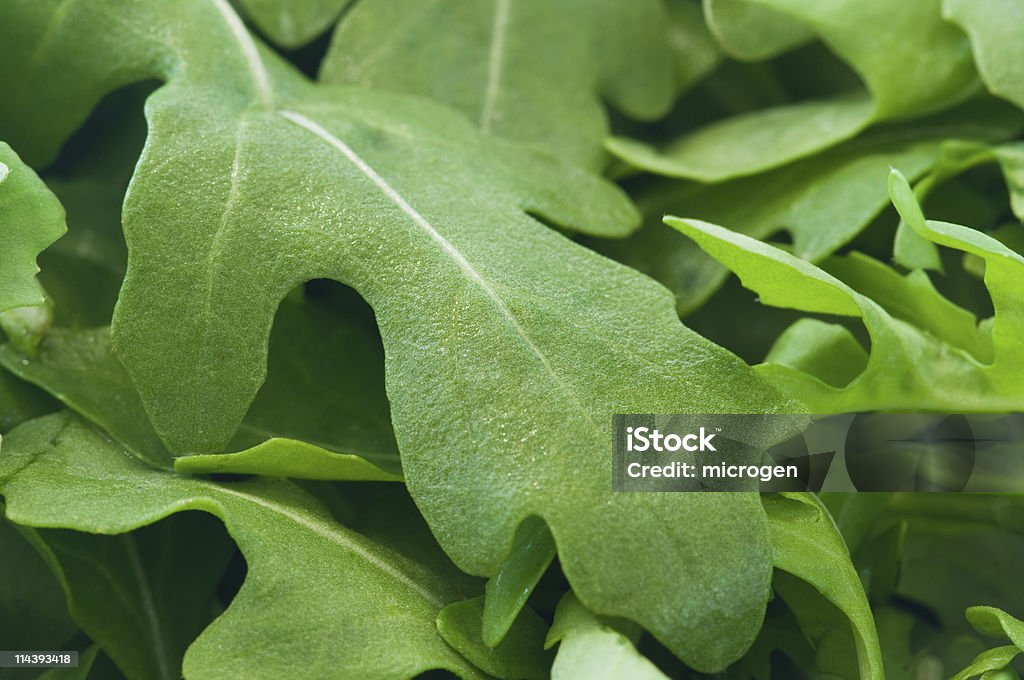Cohete ensaladas frescas hojas - Foto de stock de Alimento libre de derechos