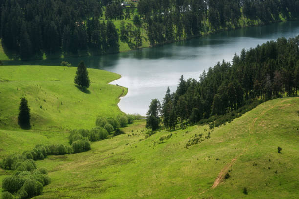 increíble paisaje primaveral del embalse dospat, región de smolyan, bulgaria - sunset dusk mountain reservoir fotografías e imágenes de stock