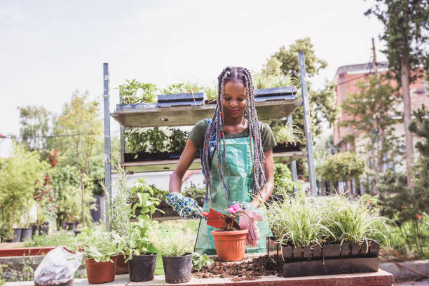 istock Taking care of plants 1143938165