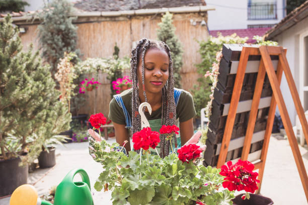 istock Taking care of plants 1143938746