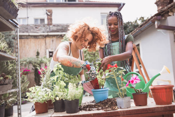 istock Taking care of plants 1143938993