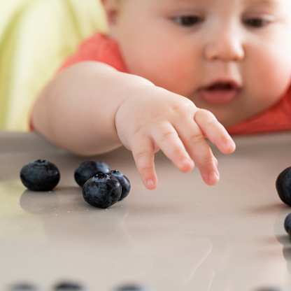 Portrait of happy baby boy eating tasty fresh blueberries