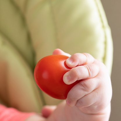 Portrait of happy baby boy playing with tasty fresh tomato