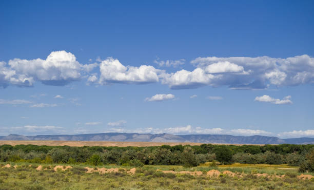 istock Southwestern Landscape with Sandia Mountains 114394163