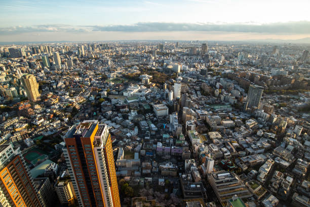 istock Panoramic modern city view in Tokyo, Japan 1143941900