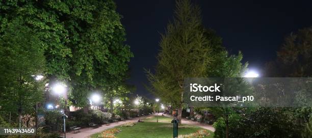 Public Park By Night Stock Photo - Download Image Now - 2019, Alley, April