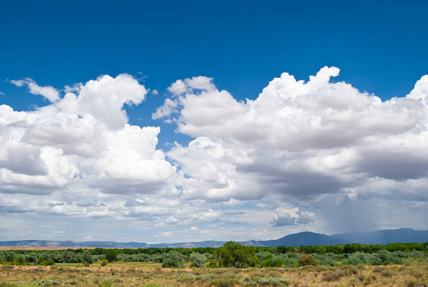 istock Southwestern Landscape with Sandia Mountains 114394512