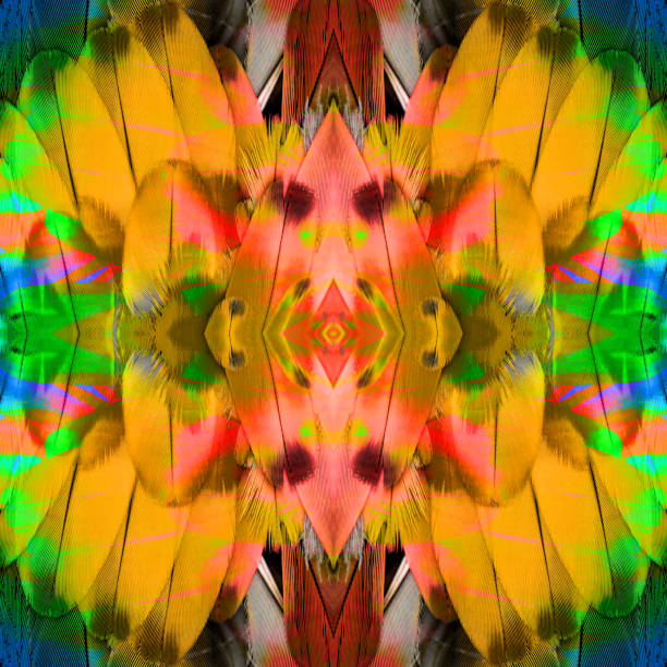 istock Background texture of multicolor scarlet macaw bird feathers 1143945165
