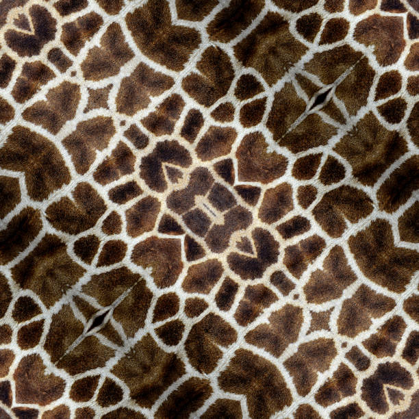 Giraffe skin texture, animal pattern