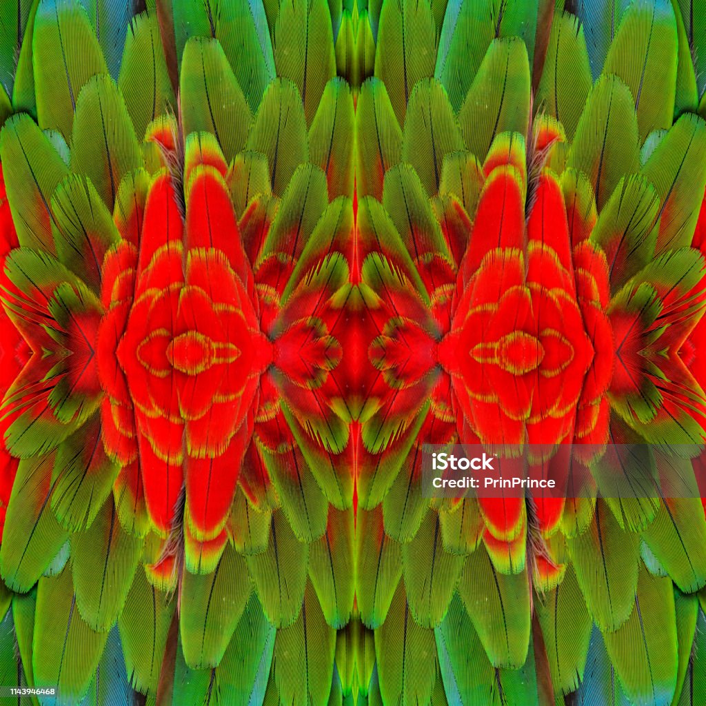 Beautiful Background Pattern made from Red ang Green Macaw bird feathers Animal Stock Photo