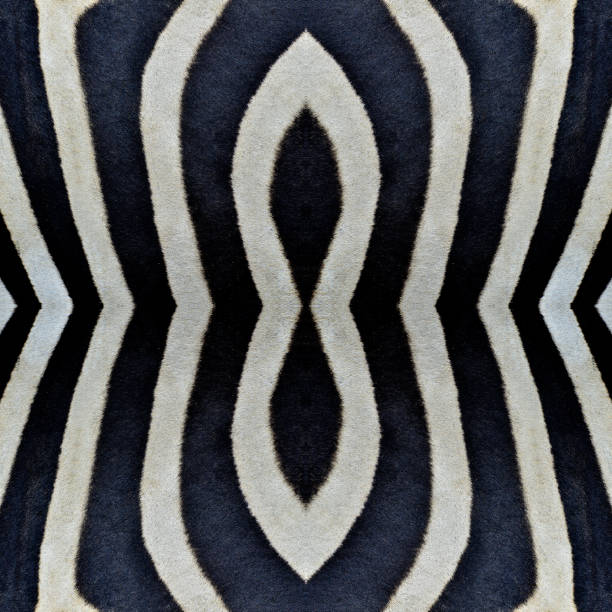 istock Beautiful Black and white camouflage patterns made from zebra skin 1143946537