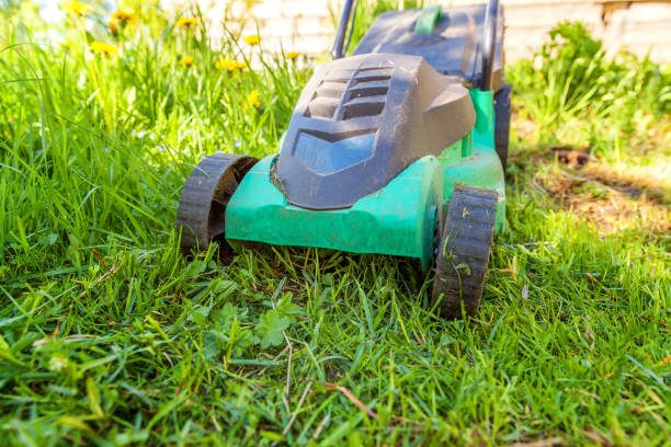 istock Lawn mower cutting green grass in backyard 1143947536