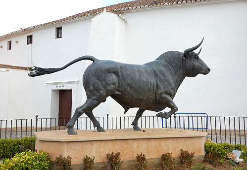 Bull statue in front of the Plaza de Toros of Ronda,Spain.