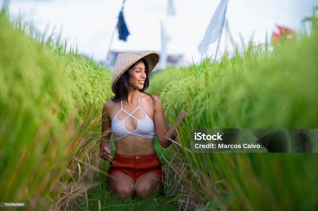 young happy and beautiful hispanic woman in traditional Asian farmer hat smiling cheerful posing sexy isolated on green rice field in Asia tourist trip and Summer holidays travel and adventure 30-39 Years Stock Photo