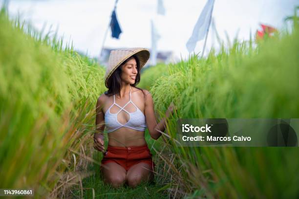 Young Happy And Beautiful Hispanic Woman In Traditional Asian Farmer Hat Smiling Cheerful Posing Sexy Isolated On Green Rice Field In Asia Tourist Trip And Summer Holidays Travel And Adventure Stock Photo - Download Image Now