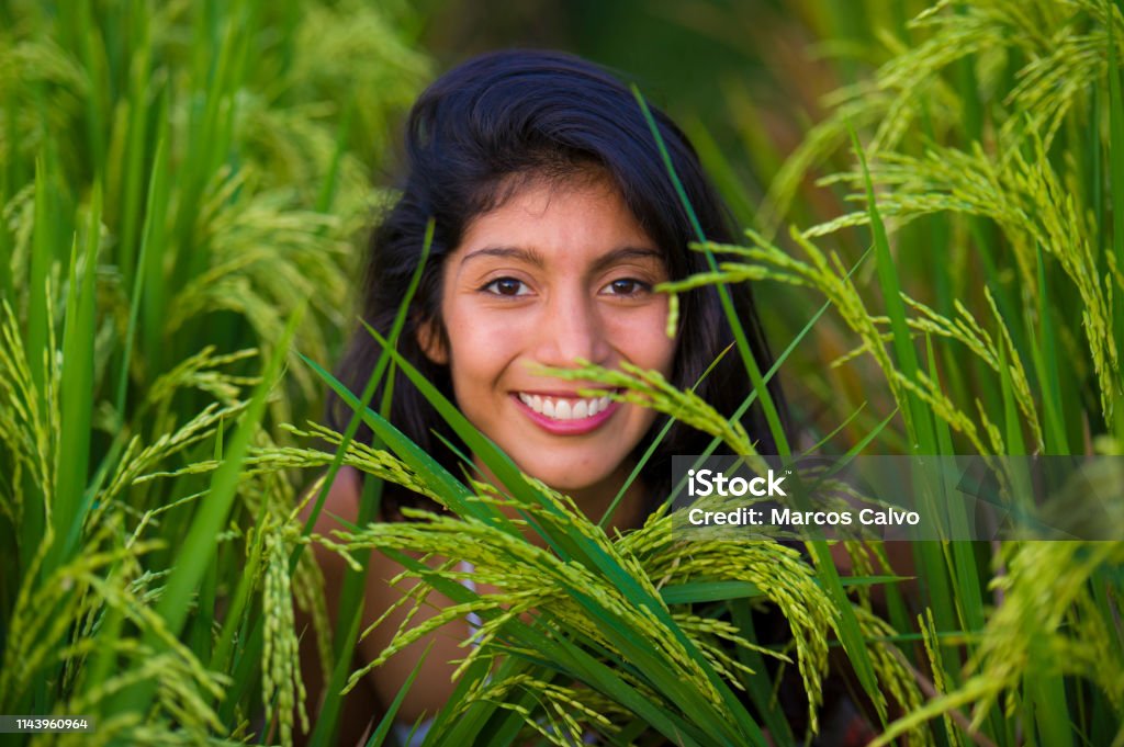 young happy and beautiful latin woman smiling playful having fun posing sweet isolated on green rice field in Asia tourist trip and Summer holidays travel and tourism concept 30-39 Years Stock Photo