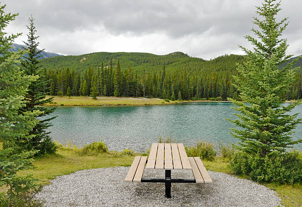istock Empty picnic table near the lake,Forget-Me-Not Pond,Alberta,Canada. 114396108
