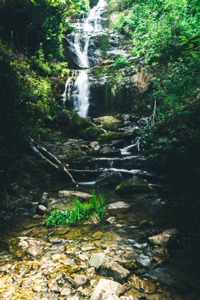 istock Mountain waterfall in summer forest. River with wet stones and plants on shore. 1143961928