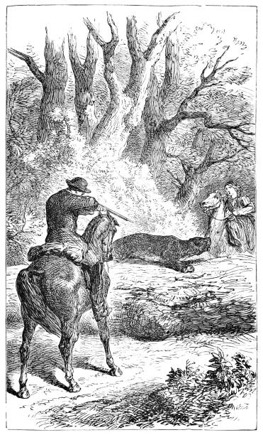 Man Shooting a Cougar Attacking a Woman in Tennessee, United States - 19th Century Man shooting a cougar that is attacking a woman in rural Tennessee, USA from The Wild Huntress (The Big Squatter’s Vengeance). Vintage etching circa mid 19th century. mountain lion tree stock illustrations