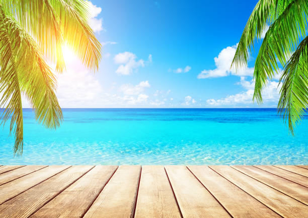 istock Coconut palm trees and blue sky and sea 1143964939