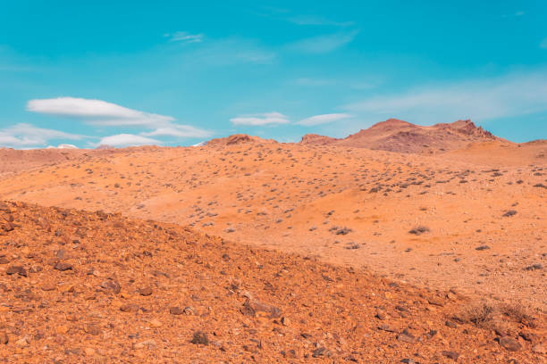 istock Steppe plain with yellow sand. Yellow soil under hot sun. Mountain empty valley. Travel Altai. 1143965017