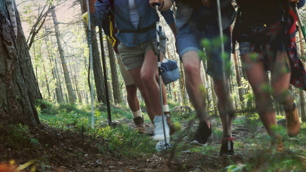 istock Friends at team building 1143966994